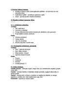 Konspekts 'Antīkā kultūra', 3.