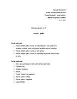 Paraugs 'Ampēra spēks', 1.