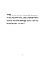 Paraugs 'Ampēra spēks', 5.