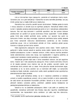 Konspekts 'SIA "X" SVID analīze', 5.