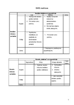 Konspekts 'SIA "X" SVID analīze', 7.