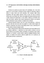 Diplomdarbs 'Starptautiskās zinātniski tehniskās sadarbības ietekme uz ASV ekonomiku', 40.