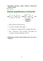 Konspekts 'Atbildes bioķīmijas kontroldarbā', 10.