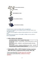 Konspekts 'Atbildes bioķīmijas kontroldarbā', 11.