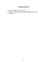 Referāts 'Ķieģeļu sienas', 10.