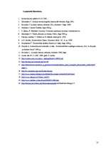 Referāts 'Komerctiesības un komercdarbības tiesiskās formas Latvijā un Krievijā', 25.