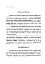 Referāts 'Sengrieķu filosofija', 12.