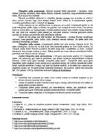 Konspekts 'Olimpiskās spēles Senajā Grieķijā', 2.