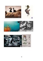 Referāts 'Uzmanības piesaistīšanas paņēmieni Pasaules Dabas Fonda reklāmas plakātos', 40.