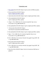 Referāts 'Marss - Saules sistēmas ceturtā planēta', 21.