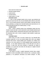 Referāts 'Bezdarbs Latvijā', 3.