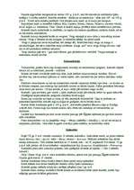 Referāts 'Dzīvesveids Senajā Romā', 3.