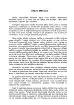 Referāts 'Bērnu tiesības', 1.