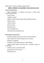 Referāts 'Bērnu tiesības', 9.