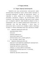 Biznesa plāns 'Komercdarbības (biznesa) plāns SIA "Bicepss"', 13.