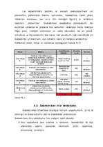 Biznesa plāns 'Komercdarbības (biznesa) plāns SIA "Bicepss"', 19.