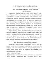 Biznesa plāns 'Komercdarbības (biznesa) plāns SIA "Bicepss"', 21.