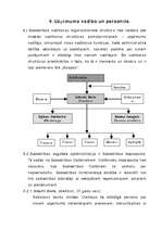 Biznesa plāns 'Komercdarbības (biznesa) plāns SIA "Bicepss"', 27.