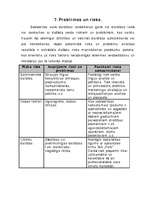 Biznesa plāns 'Komercdarbības (biznesa) plāns SIA "Bicepss"', 31.