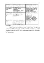 Biznesa plāns 'Komercdarbības (biznesa) plāns SIA "Bicepss"', 32.