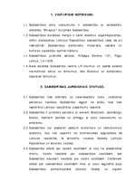 Biznesa plāns 'Komercdarbības (biznesa) plāns SIA "Bicepss"', 39.