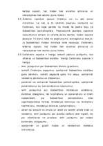 Biznesa plāns 'Komercdarbības (biznesa) plāns SIA "Bicepss"', 47.