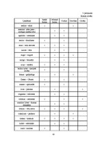 Diplomdarbs 'Roma Ovīdija darbā "Fāsti" (leksiski semantiskais aspekts)', 48.