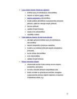 Referāts 'Latvijas graudu tirgus attīstības tendences un problemātika', 18.