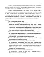 Referāts 'AS "Latvijas Balzams"', 5.