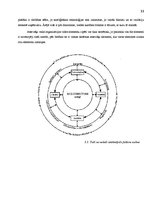 Referāts 'AS "Latvijas Balzams"', 11.