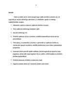 Prakses atskaite 'Mārketinga prakse SIA "RDL"', 3.