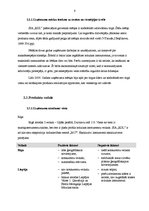 Prakses atskaite 'Mārketinga prakse SIA "RDL"', 6.