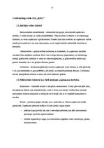 Prakses atskaite 'Mārketinga prakse SIA "RDL"', 10.