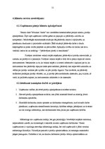 Prakses atskaite 'Mārketinga prakse SIA "RDL"', 12.