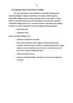 Prakses atskaite 'Mārketinga prakse SIA "RDL"', 19.