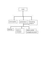 Prakses atskaite 'Mārketinga prakse SIA "RDL"', 23.