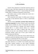 Referāts 'Apvienoto Nāciju Organizācija', 3.