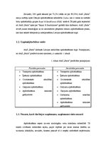 Prakses atskaite 'Kvalifikācijas prakses atskaite', 6.