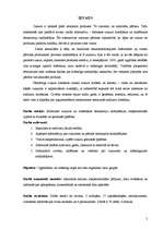 Referāts 'Cukuri un bezkaloriju saldinātāji', 5.