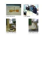 Referāts 'Cukuri un bezkaloriju saldinātāji', 26.