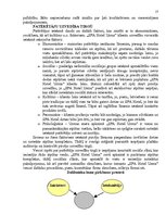 Referāts 'Uzņēmuma "SPA Hotel Usma" tirgus izpēte', 17.