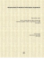 Referāts 'Klientu apkalpošanas sfērā stradājošas sievietes apģērba nozīme organizācijas im', 1.