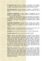 Referāts 'Klientu apkalpošanas sfērā stradājošas sievietes apģērba nozīme organizācijas im', 14.