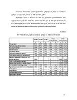 Konspekts 'SIA "Thule Arcus" saimnieciskās darbības finansiālā un vispārīgā analīze', 13.