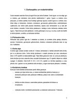 Referāts 'Darba tiesības Krievijā', 3.