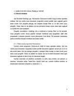 Referāts 'Tīmekļa vietnes lietojumprogrammu Microsoft FrontPage un Macromedia Dreamweaver ', 9.