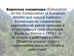 Prezentācija 'Бернская конвенция', 2.
