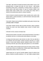 Referāts 'Internets kā politiskās komunikācijas līdzeklis Latvijā un ASV', 5.