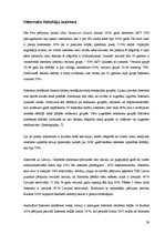 Referāts 'Internets kā politiskās komunikācijas līdzeklis Latvijā un ASV', 29.