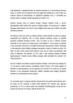 Referāts 'Internets kā politiskās komunikācijas līdzeklis Latvijā un ASV', 33.